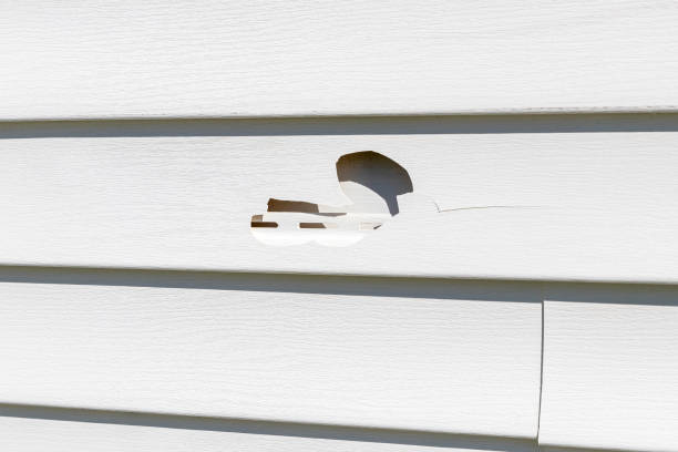 Best Siding Painting and Refinishing  in Julian, CA